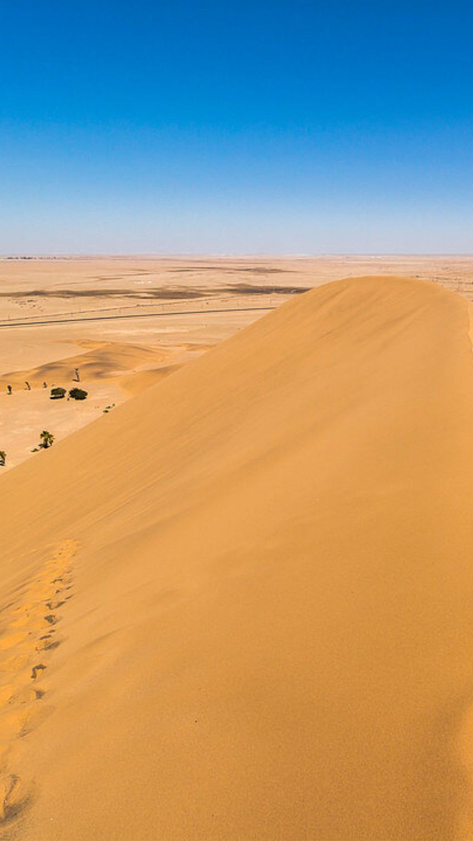 Dune 7