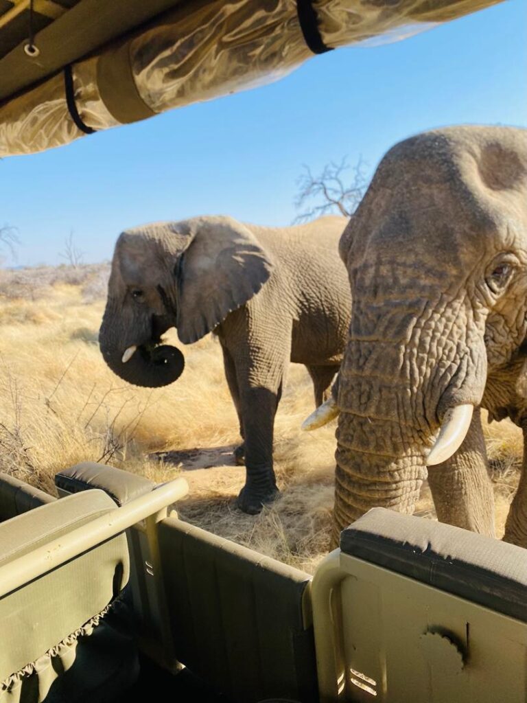 Etosha
