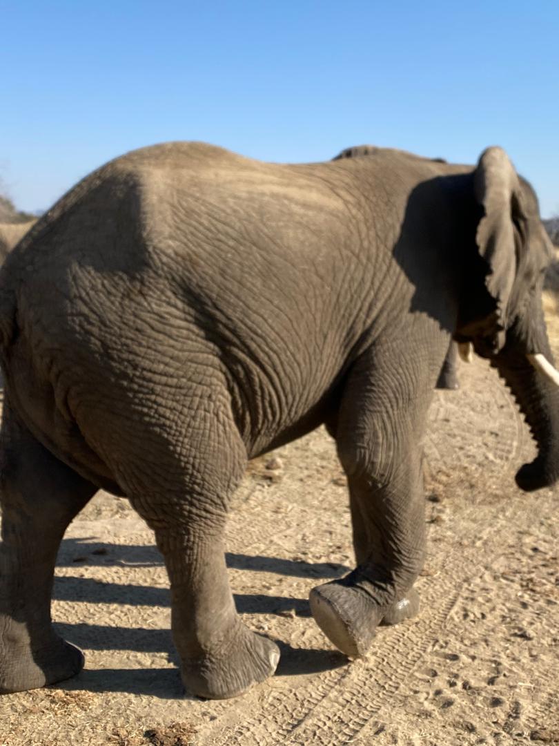 Etosha