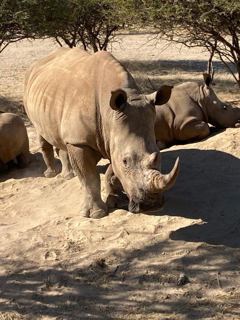 etosha7