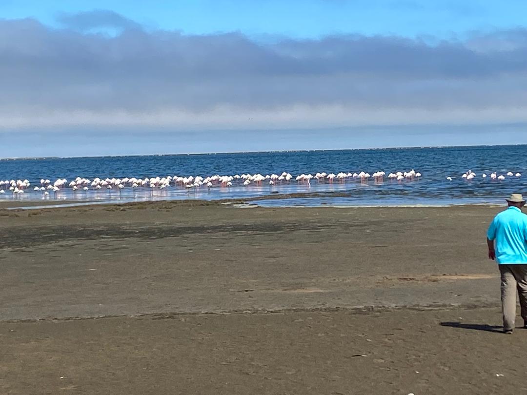 Walvis Bay Lagoon